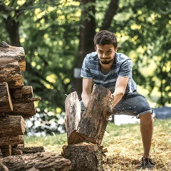 Рязане на опасни дървета с алпинисти