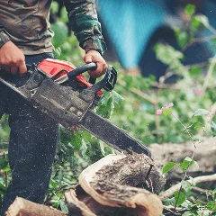 Кастрене и премахване на опасни клони