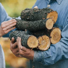 Почистване след рязане на дървета